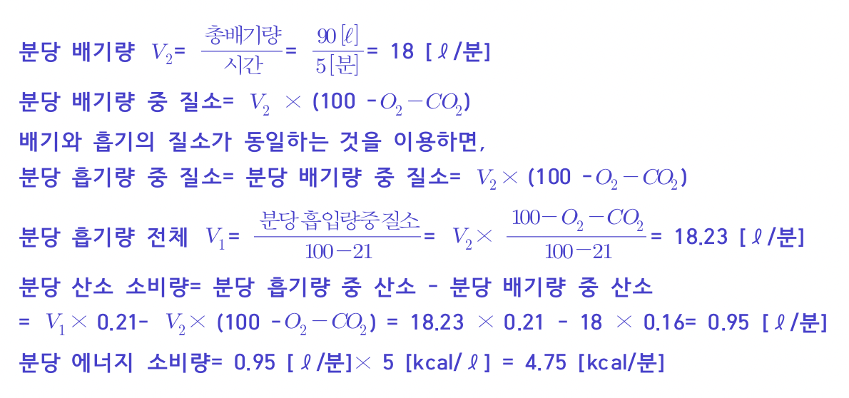 정답 이미지